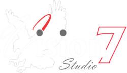 Vision7 Biz