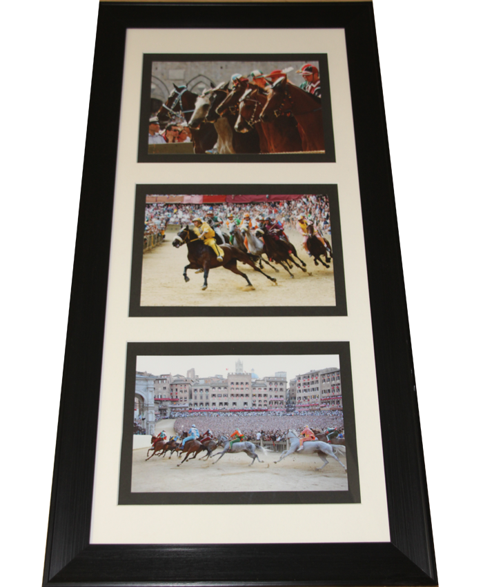 portfolio collage 2 horse collage 700x850 no bgpng