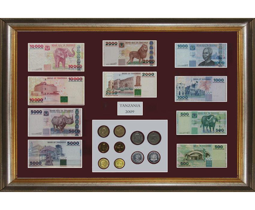 portfolio mem 1 notes and coins tanzania